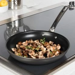 Viking Hard Anodized Nonstick 10" Fry Pan 10 Viking Hard Anodized Nonstick 10" Fry Pan -Cuisinart Sales Shop 71wv2viw0fl. ac sl1500