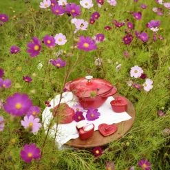 Staub 1.75 Qt. Heart Cocotte/Dutch Oven | Cherry Red -Cuisinart Sales Shop 81snjyglvls. ac sl1280